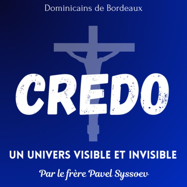 cover art for Un univers visible et invisible