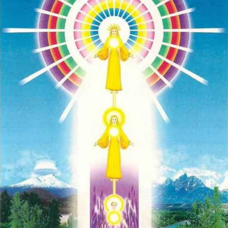 cover art for Chapitre 6 : la charte de la Sainte Trinité