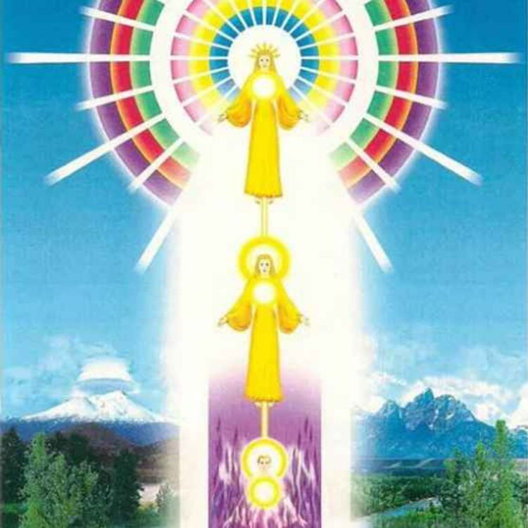 cover art for Chapitre 7 : Les corps de l'homme