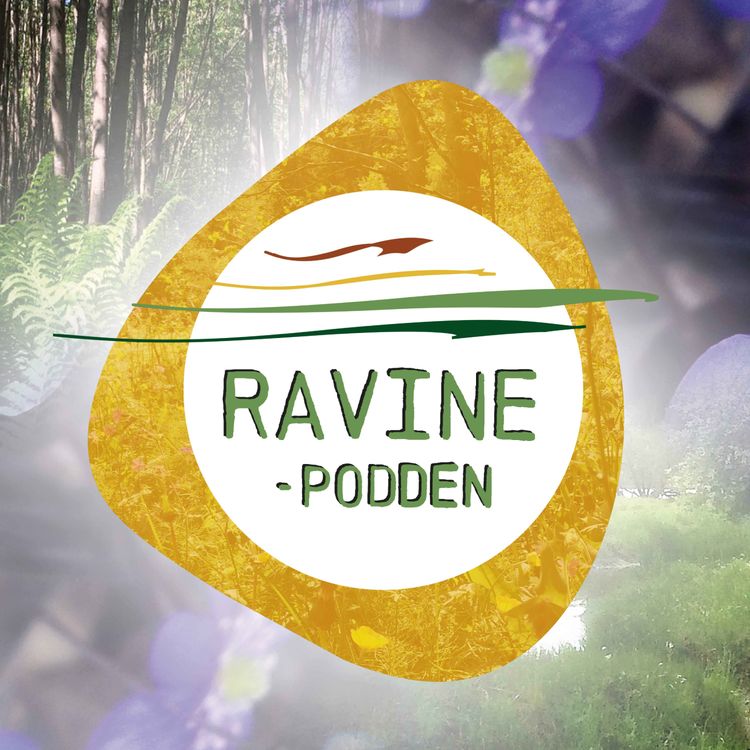 cover art for Hvordan har mennesker brukt ravine-og elvelandskapet gjennom tidene?