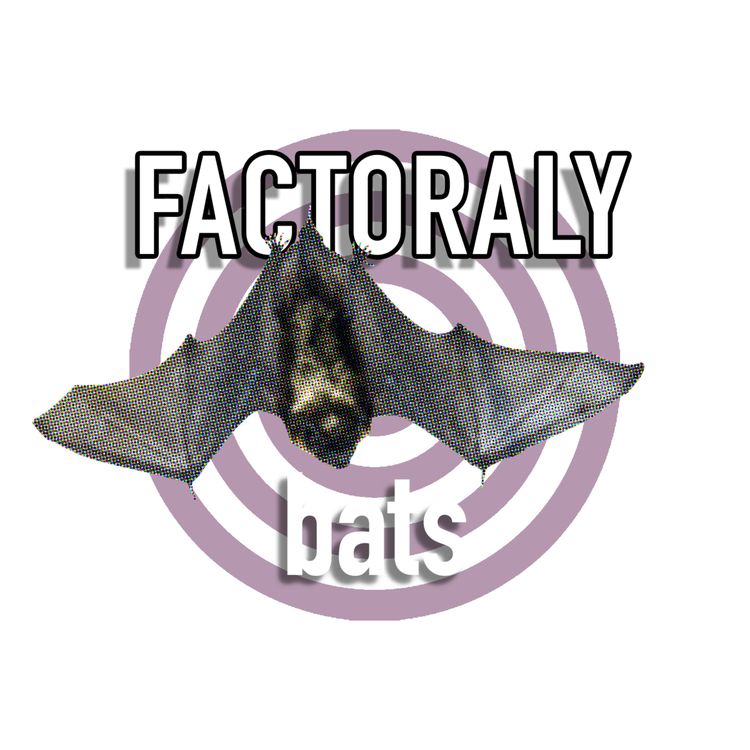 cover art for E106 BATS