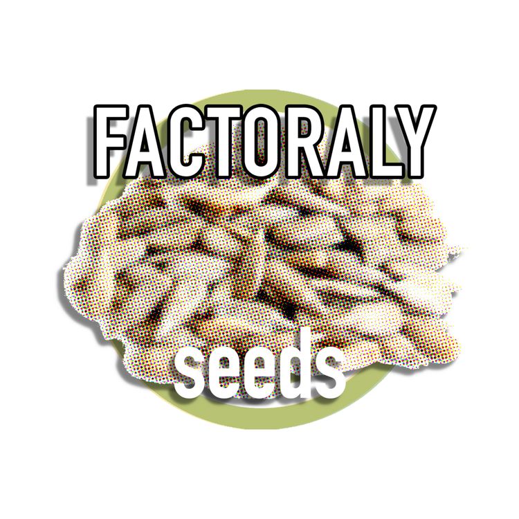 cover art for E116 SEEDS