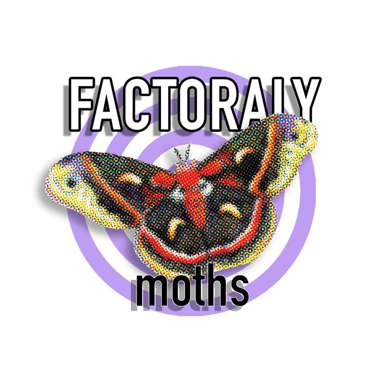 cover art for E119 MOTHS