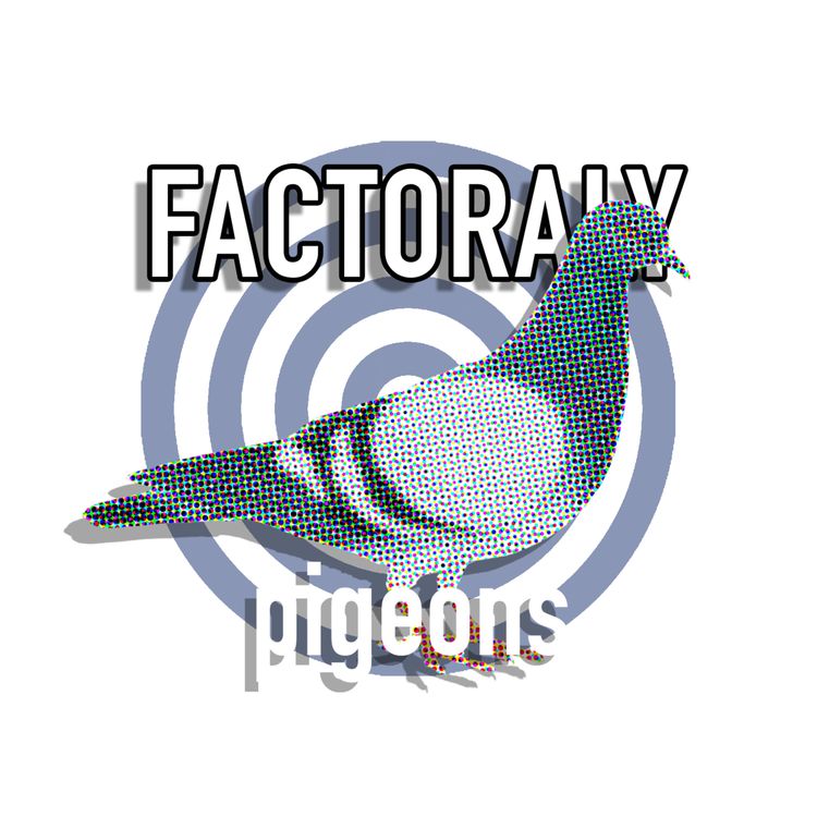 cover art for E124 PIGEONS