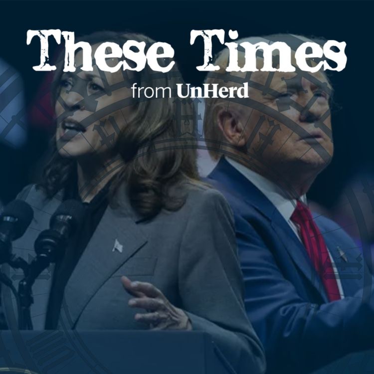 cover art for These Times Live: The Most Important Election in Modern History