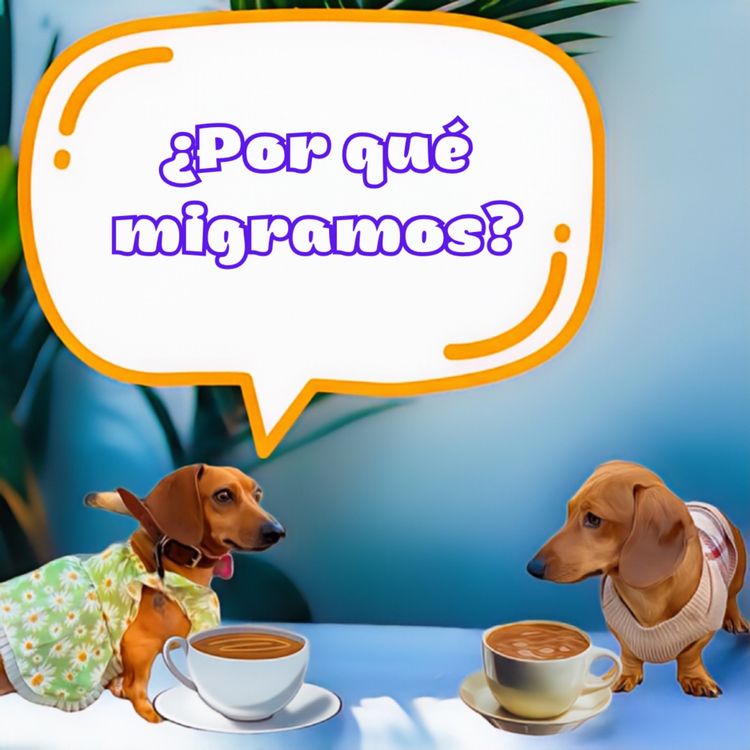 cover art for ¿Por qué migramos?