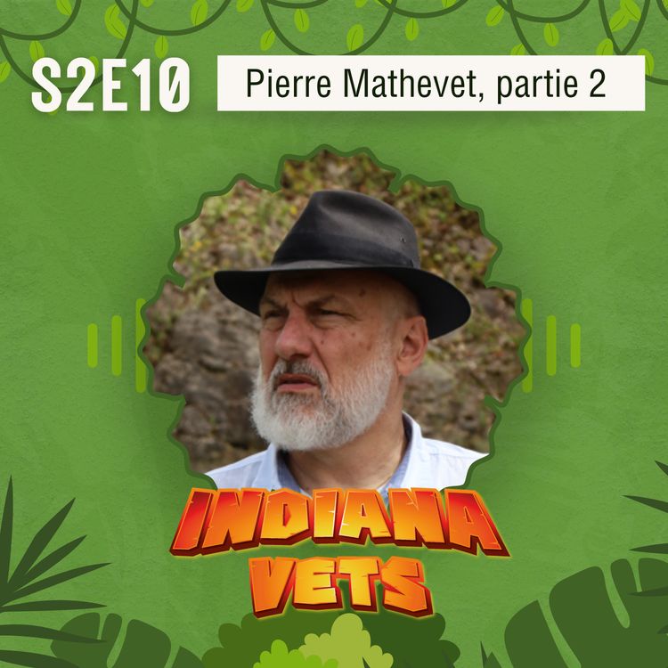 cover art for S02E10/ Interview de Pierre Mathevet (partie 2), grandir sans se comparer 🧘‍♀️