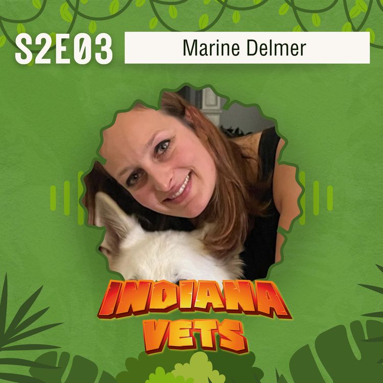 cover art for S02E03/ Interview de Marine Delmer, comment survivre au harcèlement moral en milieu professionnel ✊🏼