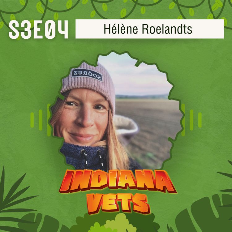 cover art for S03E04/ Hélène Roelandts: Chief Hapiness Officer ou Directrice du Bonheur dans sa clinique 😍