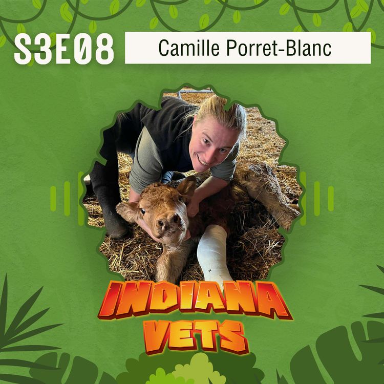 cover art for S03E08/ Camille Porret-Blanc: de salariée à dirigeante vétérinaire, des clés pour un management sincère et humain