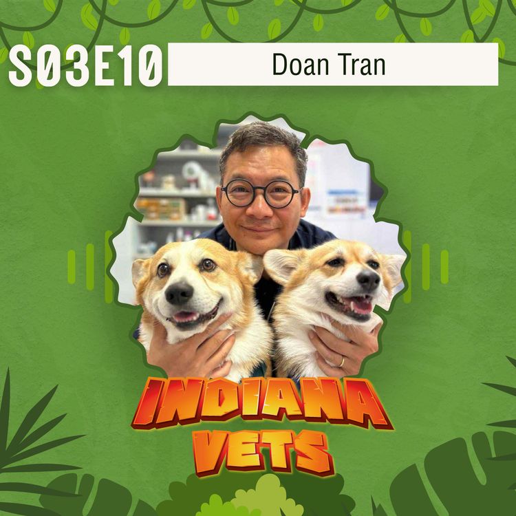 cover art for S03E10/ Doan Tran: Cure, care et neurones en l’air... mode d’emploi pour vétos hors-normes