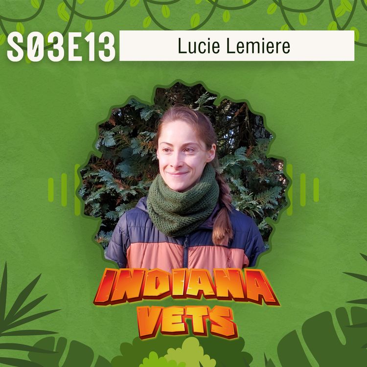 cover art for S03E12/ Lucie Lemiere: quand les études vétérinaires mettent la santé à l'épreuve ! 💊🏥