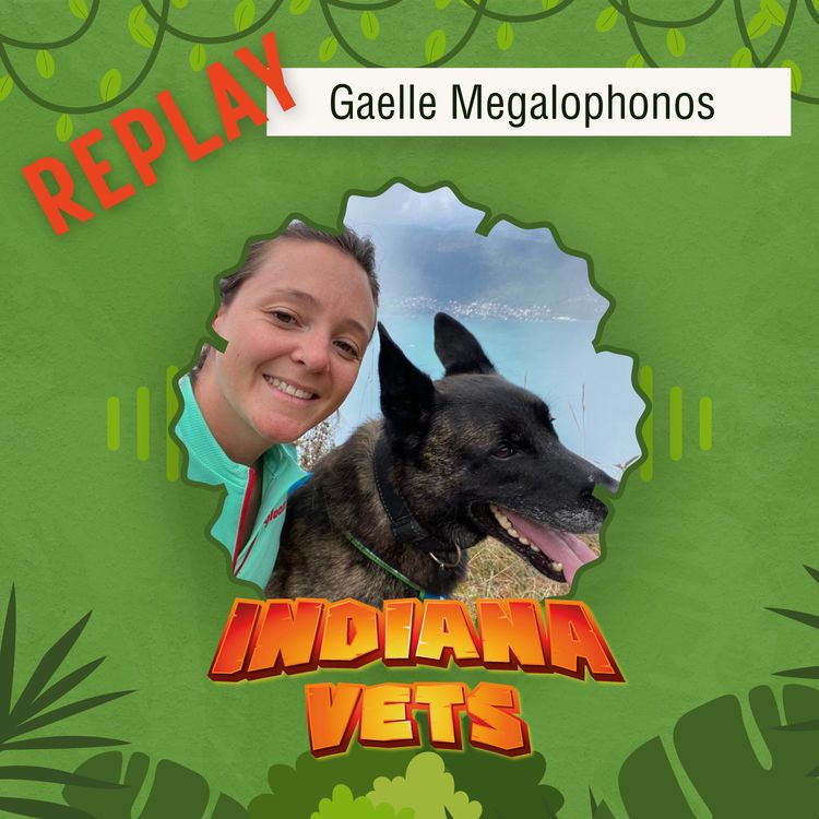 cover art for Replay/ Gaelle Megalophonos, subir le harcèlement, se relever, trouver sa voie