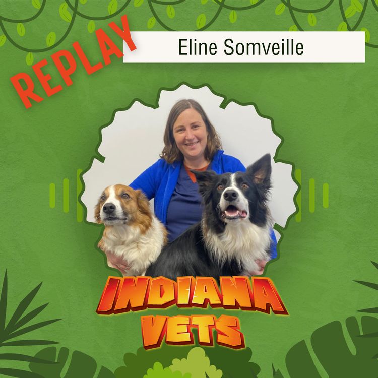 cover art for Replay/ Elina Somveille, "comment j'ai trouvé ma clinique de rêve !" 🌟