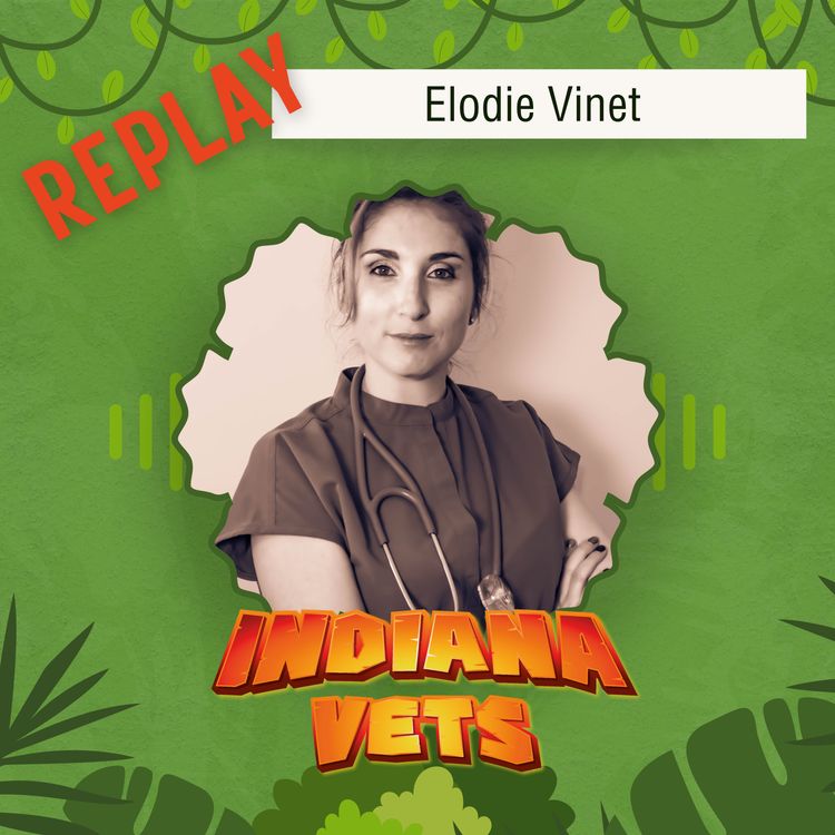 cover art for Replay/ Elodie Vinet, comment adapter son travail à sa vie ⚖