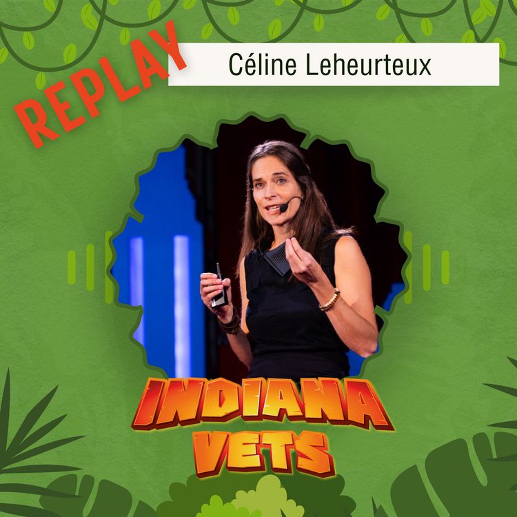 cover art for Replay/ Céline Leheurteux: comment trouver de la satisfaction dans l'euthanasie ✝❤