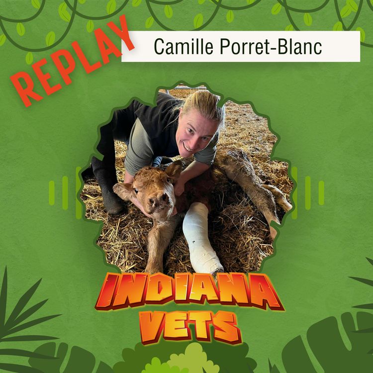 cover art for Replay/ Camille Porret-Blanc: de salariée à dirigeante vétérinaire, des clés pour un management sincère et humain