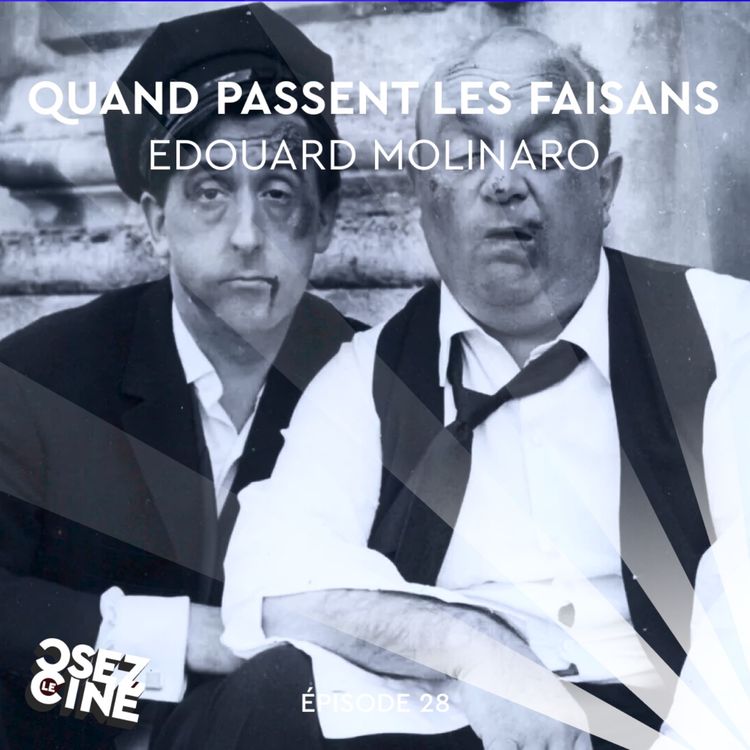 cover art for Quand passent les faisans (Edouard Molinaro)