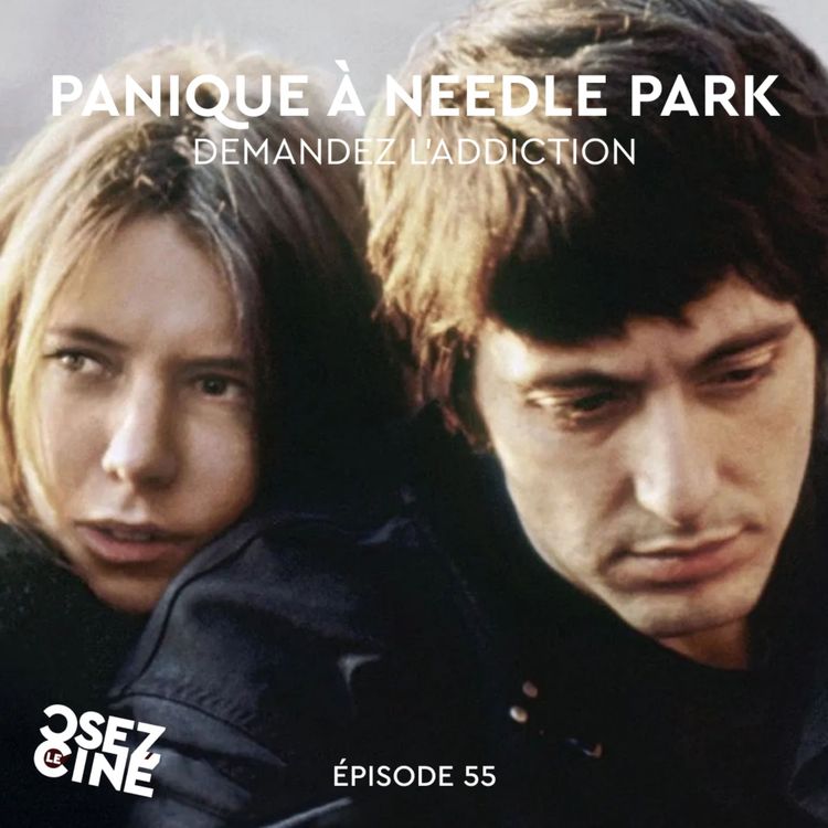 cover art for PANIQUE A NEEDLE PARK, de Jerry Schatzberg