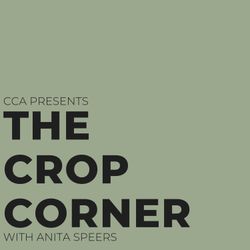 cover art for The Crop Corner