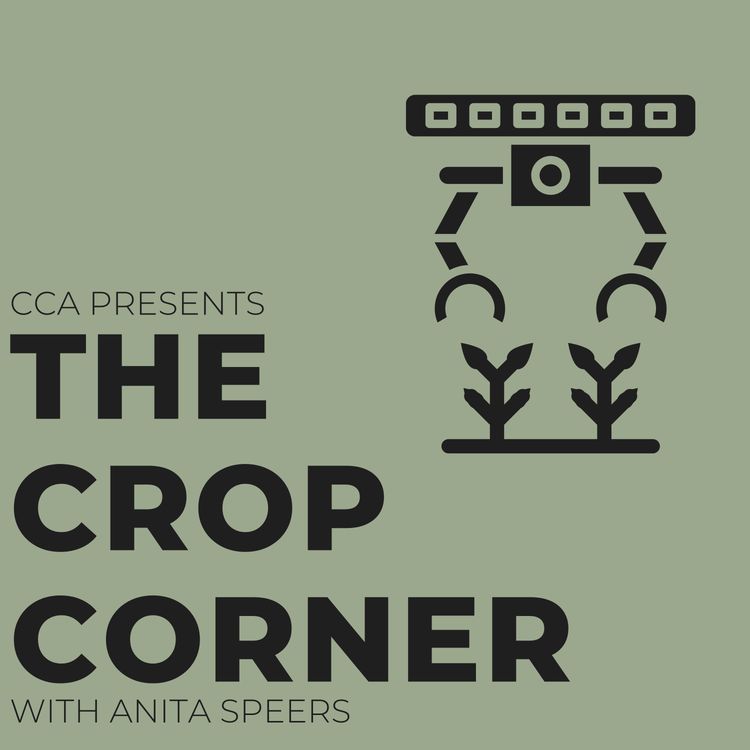 cover art for Rooting for Robotics with Lynn Sosnoskie