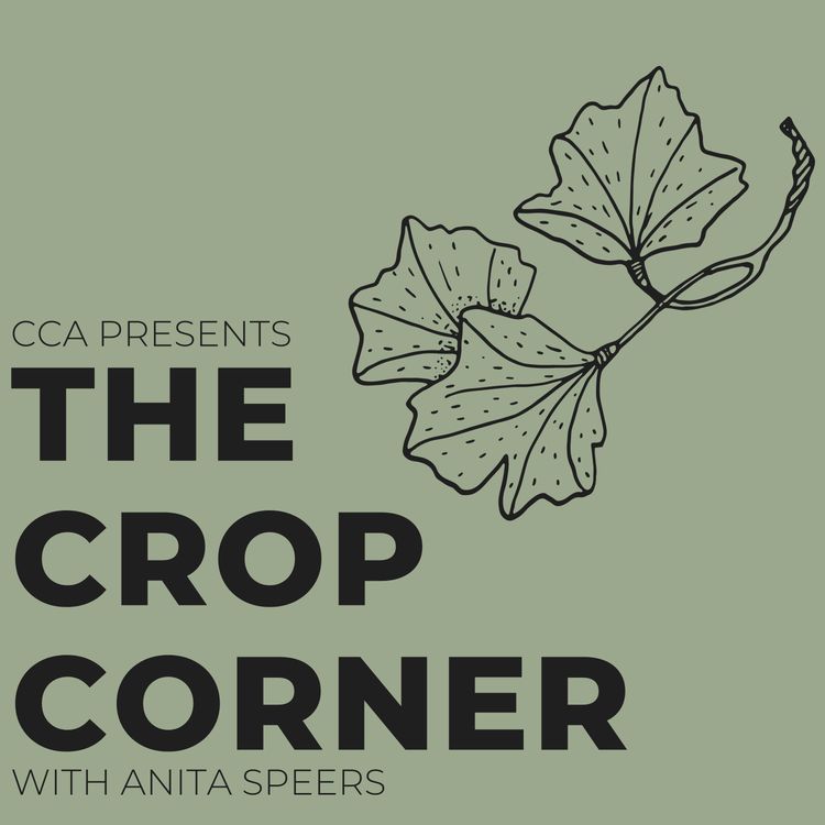 cover art for Tissue Testing Tales with Bryan Stennett & Ben Dalgleish