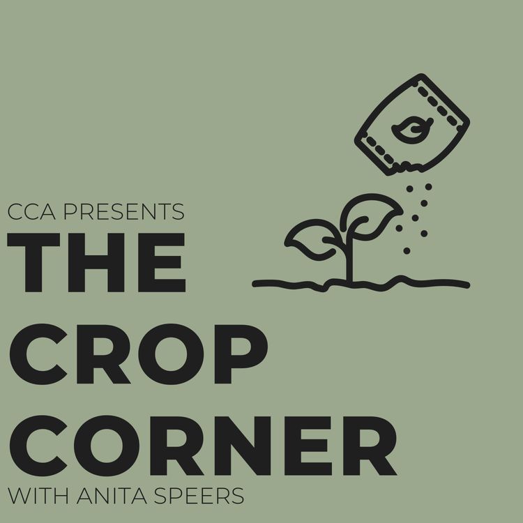 cover art for Foundations of Fertigation with Friedhelm Hoffmann