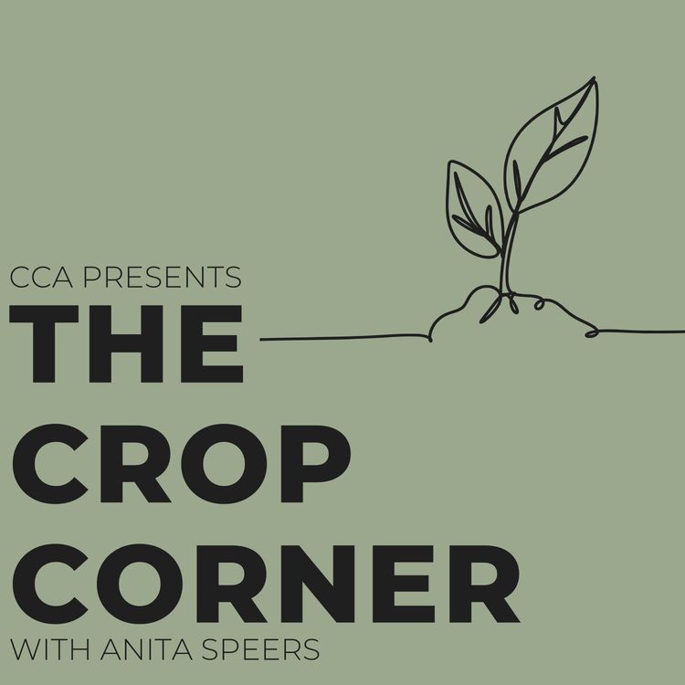 cover art for Beginning with Biologicals with Shawn Brenneman