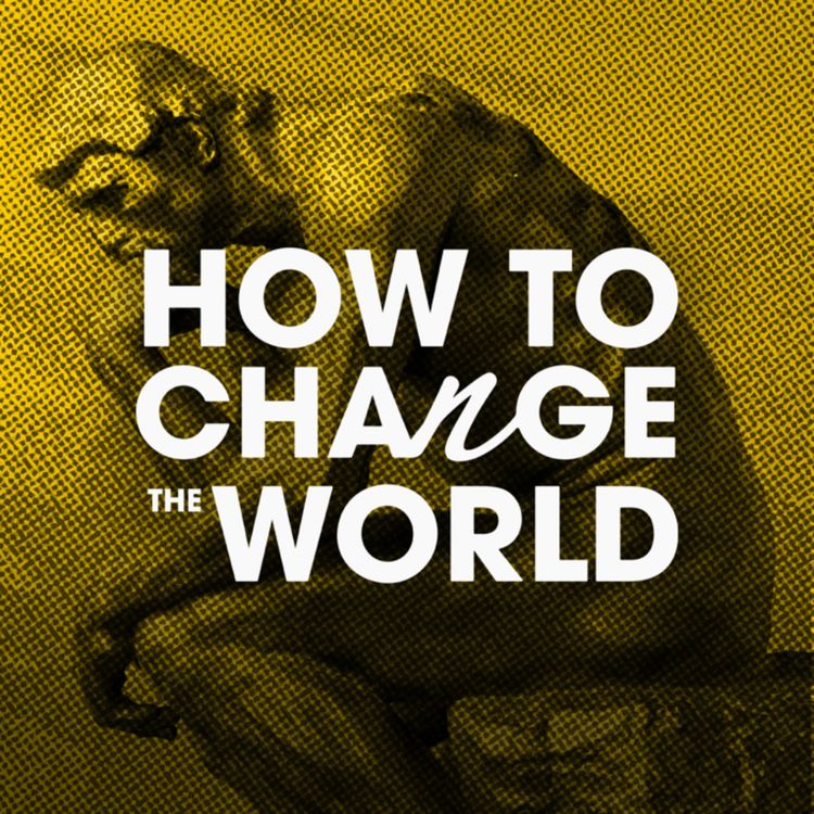 cover art for UPDATE - How To Change The World: The history of innovation