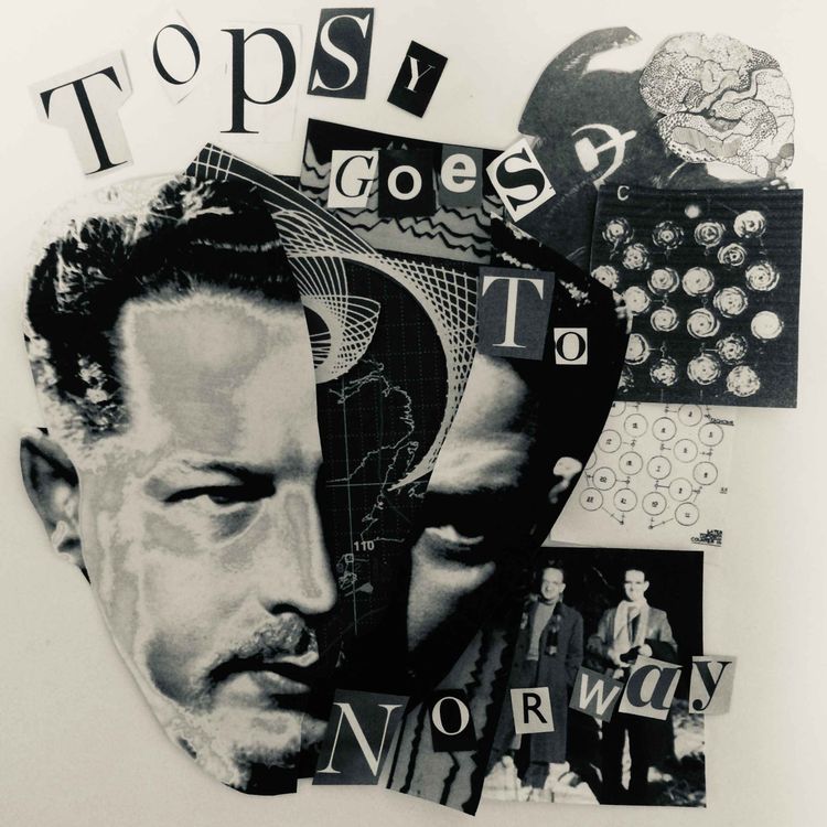 cover art for TOPSY GOES TO NORWAY