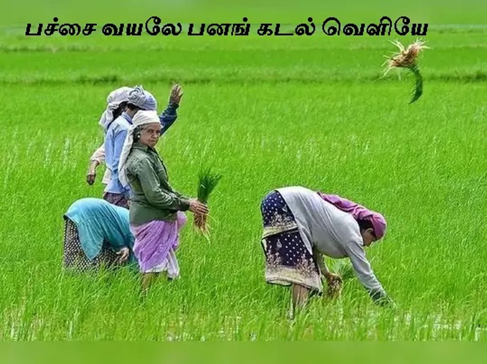 cover art for Eelam Songs: Pachai Vayale Panag Kadal Veliye