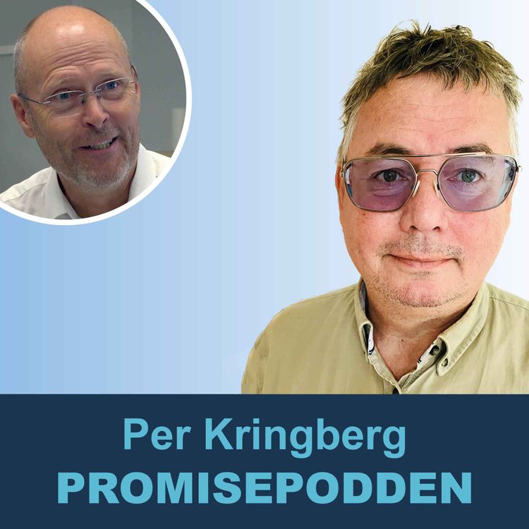 cover art for Sveriges mest använda e-utbildning?