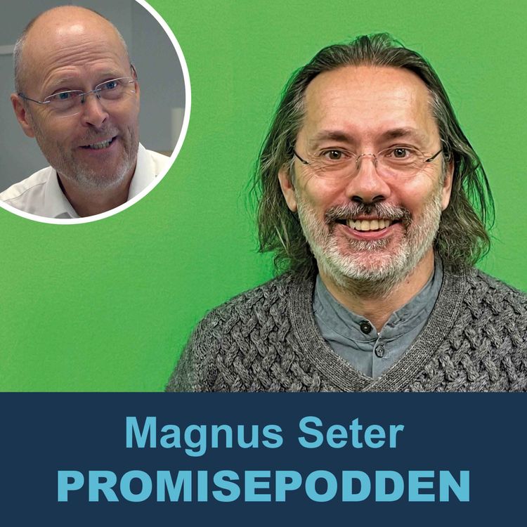 cover art for Magnus Seter, Houdini