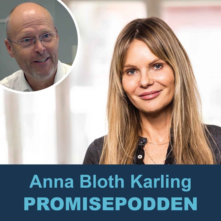 cover art for Anna Bloth Karling, Zebrain