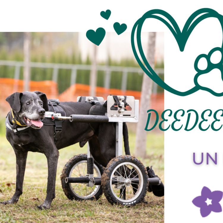 cover art for DeeDee e le malattie croniche dovute al tumore