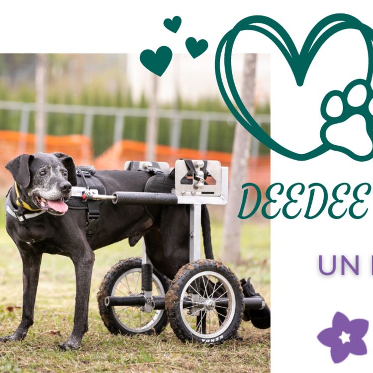 cover art for DeeDee e il suo addio al mondo