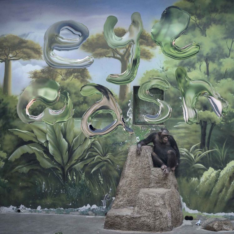 cover art for 8. Zed Nelson