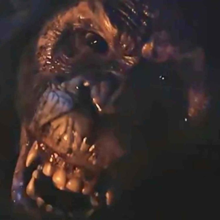 cover art for Primate - Is it kino?