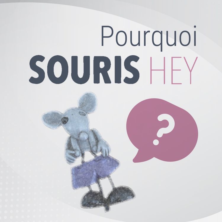 cover art for Pourquoi Souris Hey ?