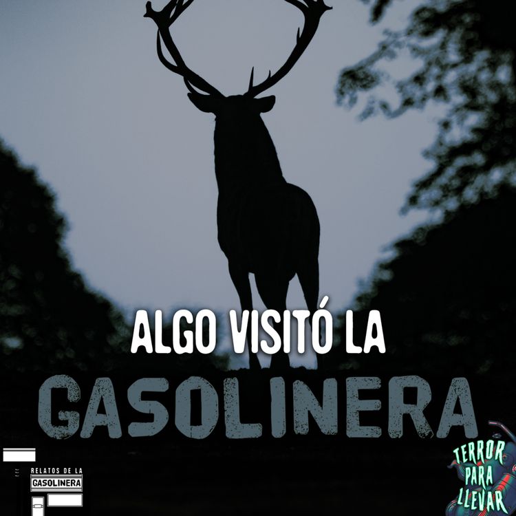 cover art for Algo extraño visitó la gasolinera | Relatos de la gasolinera - Creepypasta