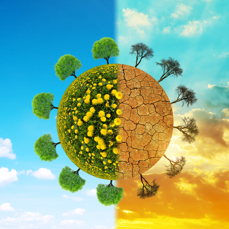 cover art for Can corporations show climate leadership?