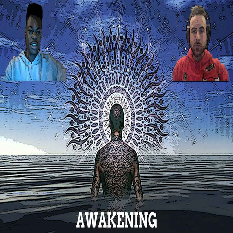 cover art for Waking Up From the False Reality