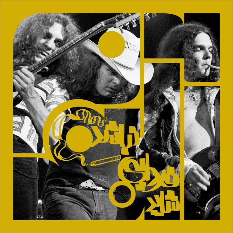 cover art for آلبوم سیزدهم - لنرد اسکینرد: شاید فردایی نباشد