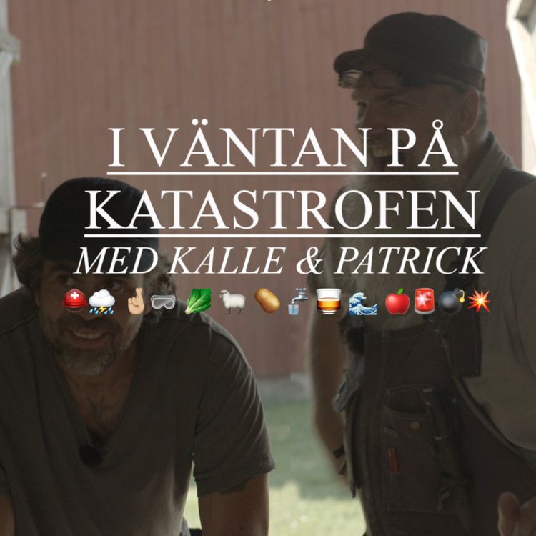 cover art for 151. Verktyg och värmebäddar