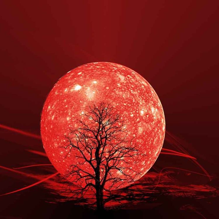 cover art for 033 - 1. Einschlafen mit dem Muladhara-Chakra