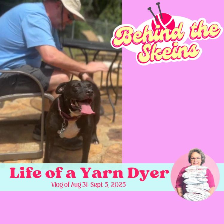 cover art for Vlog of Aug 31- Sept 5