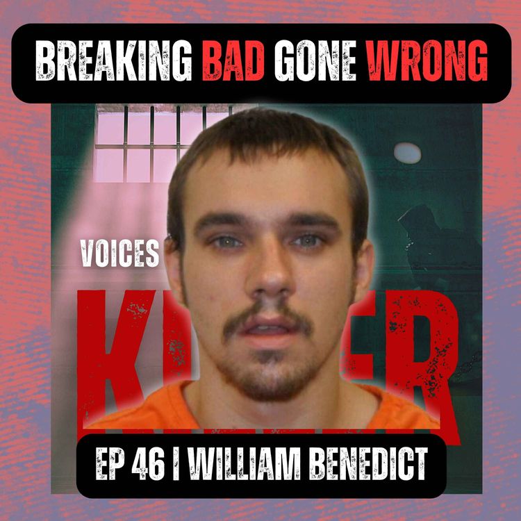 cover art for BREAKING BAD GONE WRONG | Ep 46 | William Benedict