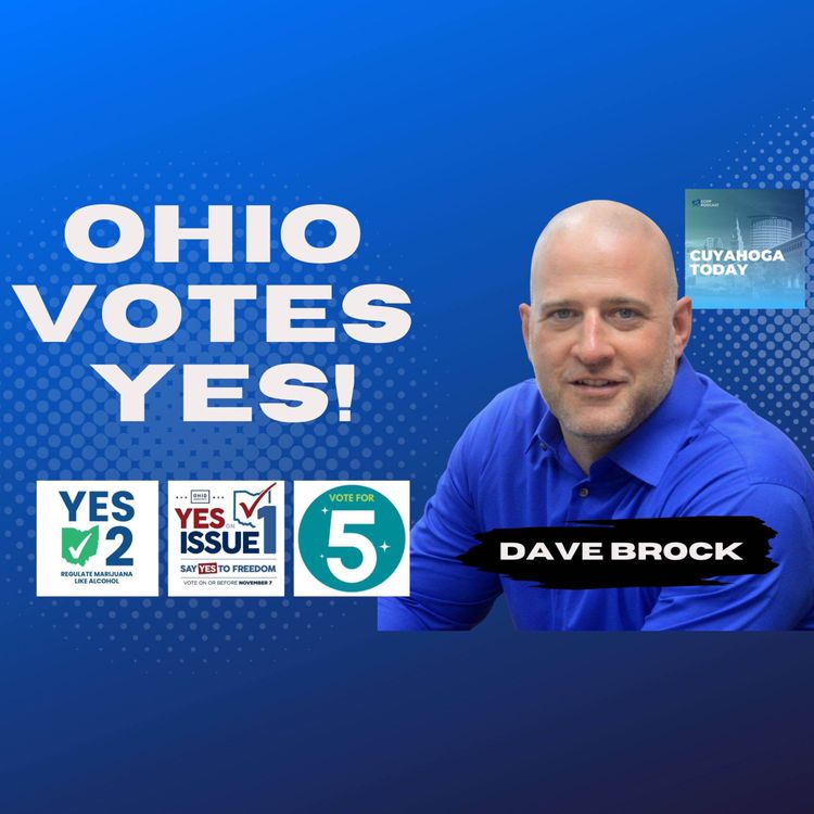 cover art for Dems Dominate! Massive Wins on Issues 1, 2, & 5 with Dave Brock