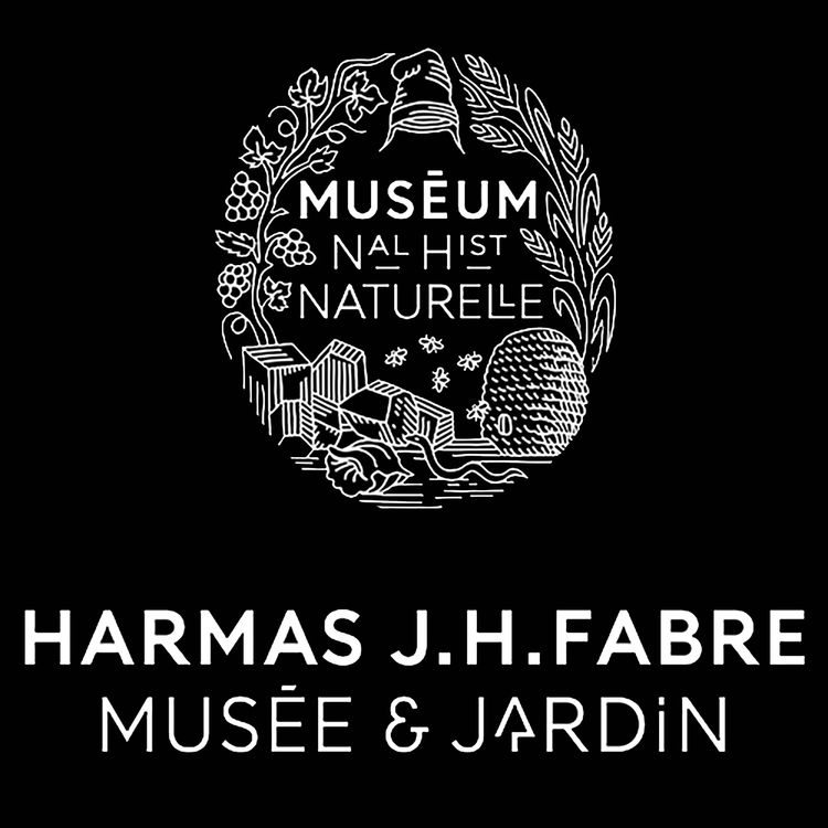 cover art for Repas entre amis