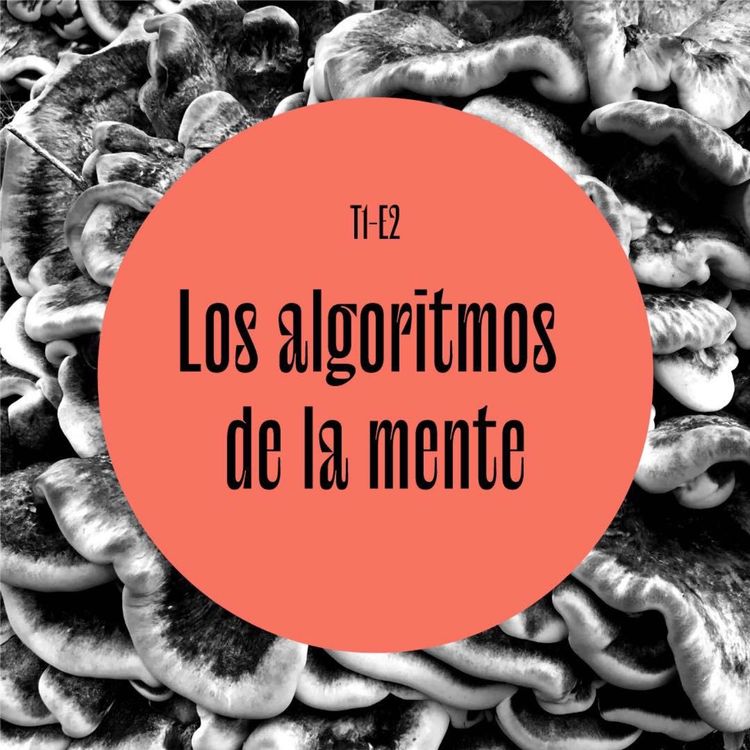 cover art for 02 | Los algoritmos de la mente